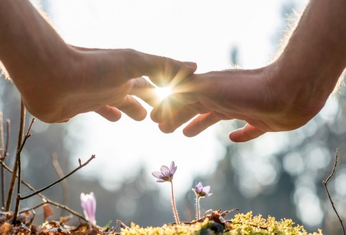 13 e 14 Febbraio –  Classe di Relazione con il partner di ThetaHealing®