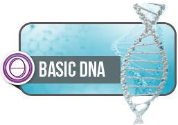 27-28-29 Giugno  2025 Classe di Dna Base di ThetaHealing® (online e di presenza)