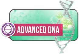 25-26-27 Aprile Classe di DNA Avanzato di ThetaHealing® (online e presenza)